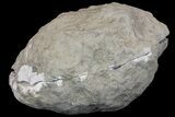 Keokuk Quartz Geode with Calcite - Missouri #144776-1